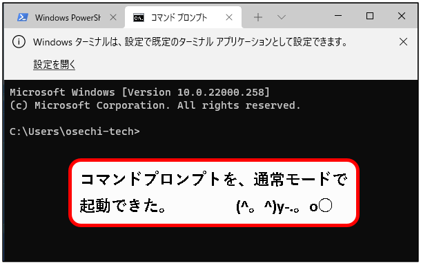 「【windows11】コマンドプロンプトを起動する方法」説明用画像39