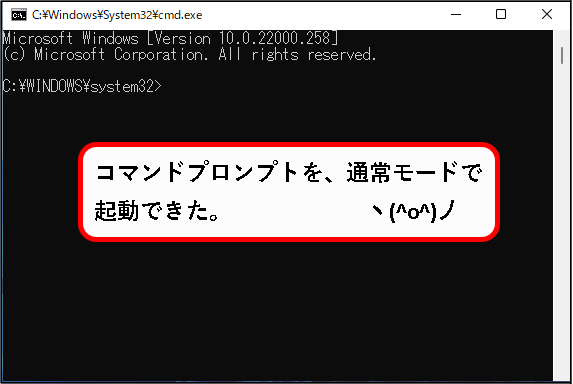 「【windows11】コマンドプロンプトを起動する方法」説明用画像28
