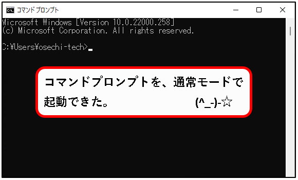 「【windows11】コマンドプロンプトを起動する方法」説明用画像13