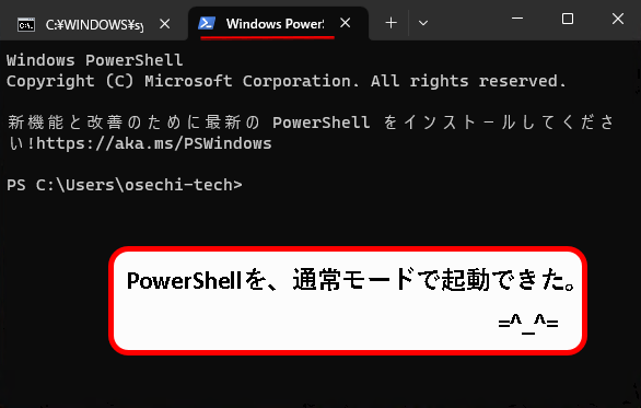 「【windows11】PowerShellを起動する方法」説明用画像35